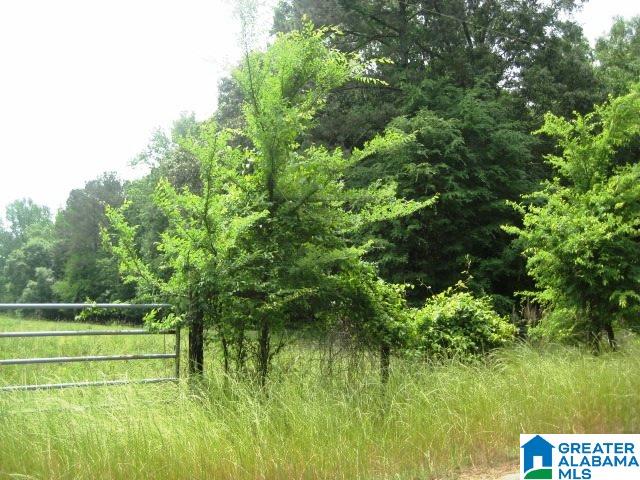 0 Sulphur Springs Road, Unit 10 ACRES Lincoln, AL 35096 - Photo 23 of 32