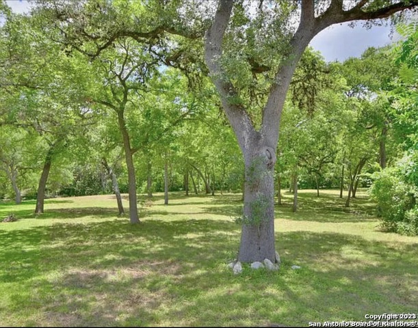 a view of a backyard with large trees