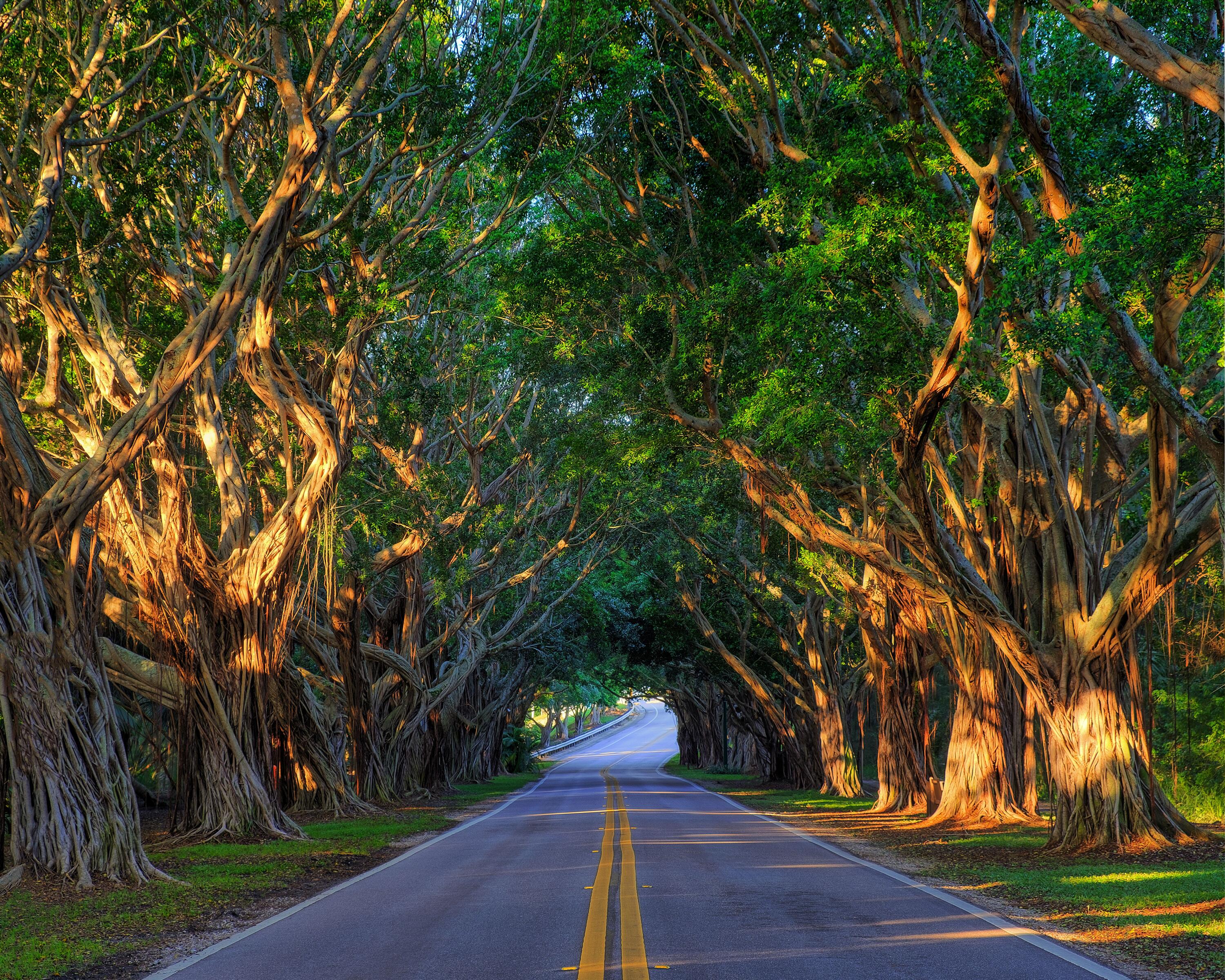 6250 Southeast Fauna Terrace Hobe Sound, FL 33455 - Photo 33 of 35 Road to Hobe Sound Beach