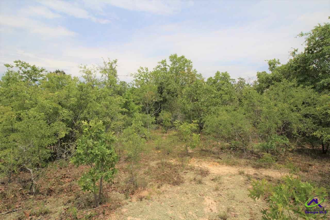 0 Pineknot Road Box Springs, GA 31801 - Photo 6 of 12