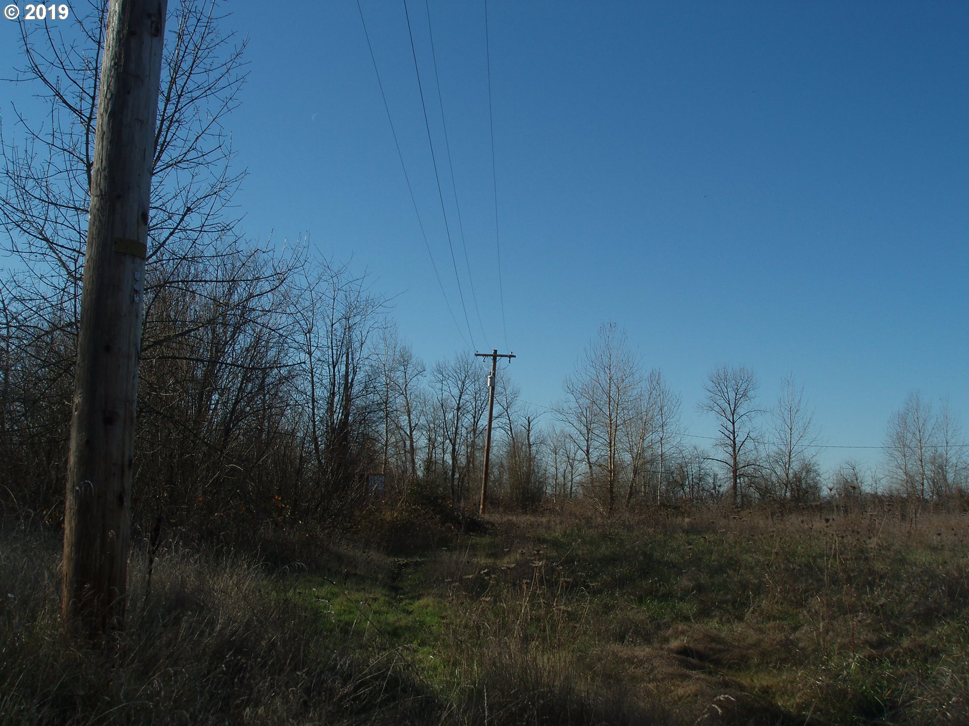 38864 West Scio Road Scio, OR 97374 - Photo 14 of 26 Gallery Image 14