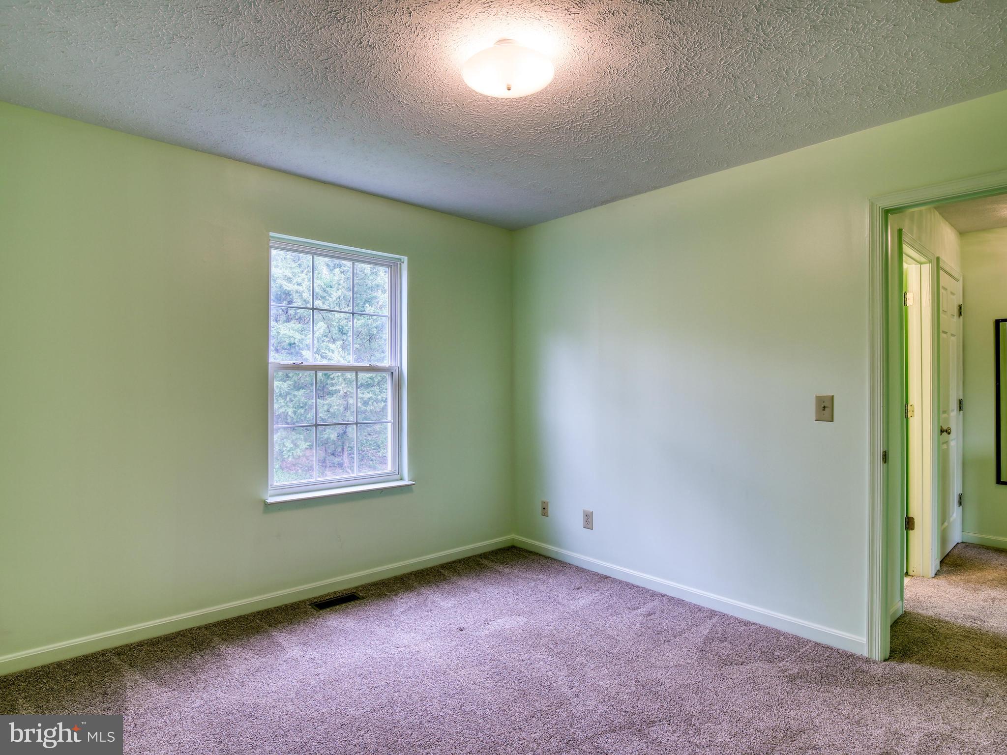 435 Ridgefield Avenue Stephens City, VA 22655 - Photo 23 of 27