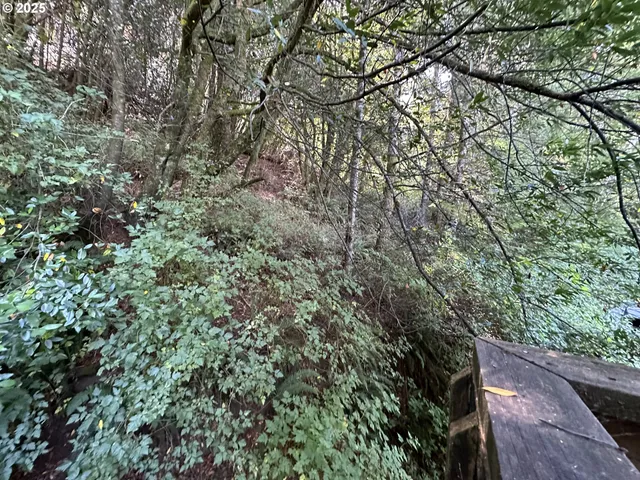 $185,900 | 99899 South Bank Chetco River Road, Brookings, OR 97415