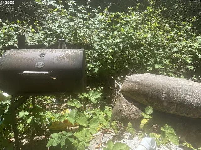 $185,900 | 99899 South Bank Chetco River Road, Brookings, OR 97415