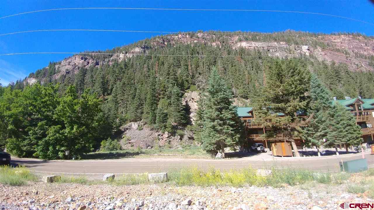 2 Oak Street Ouray, CO 81427 - Photo 1 of 7 a view of a yard with a tree