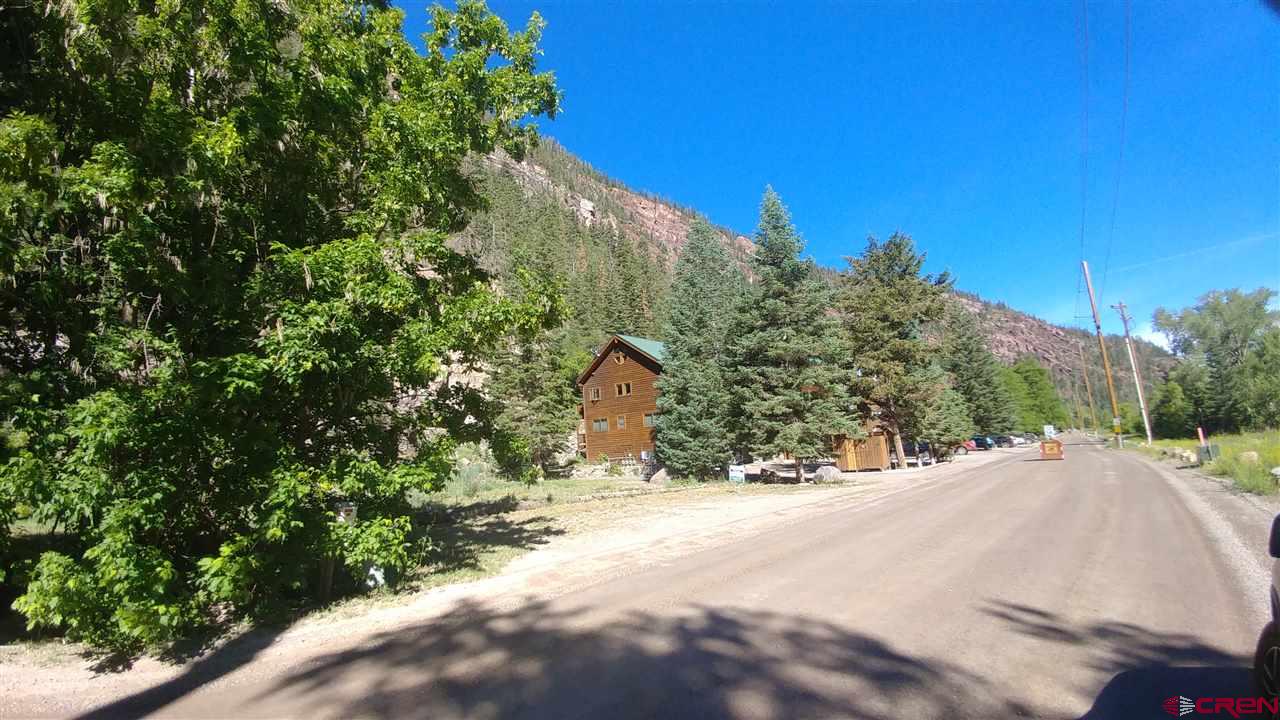 2 Oak Street Ouray, CO 81427 - Photo 7 of 7 a view of large trees with a dry yard