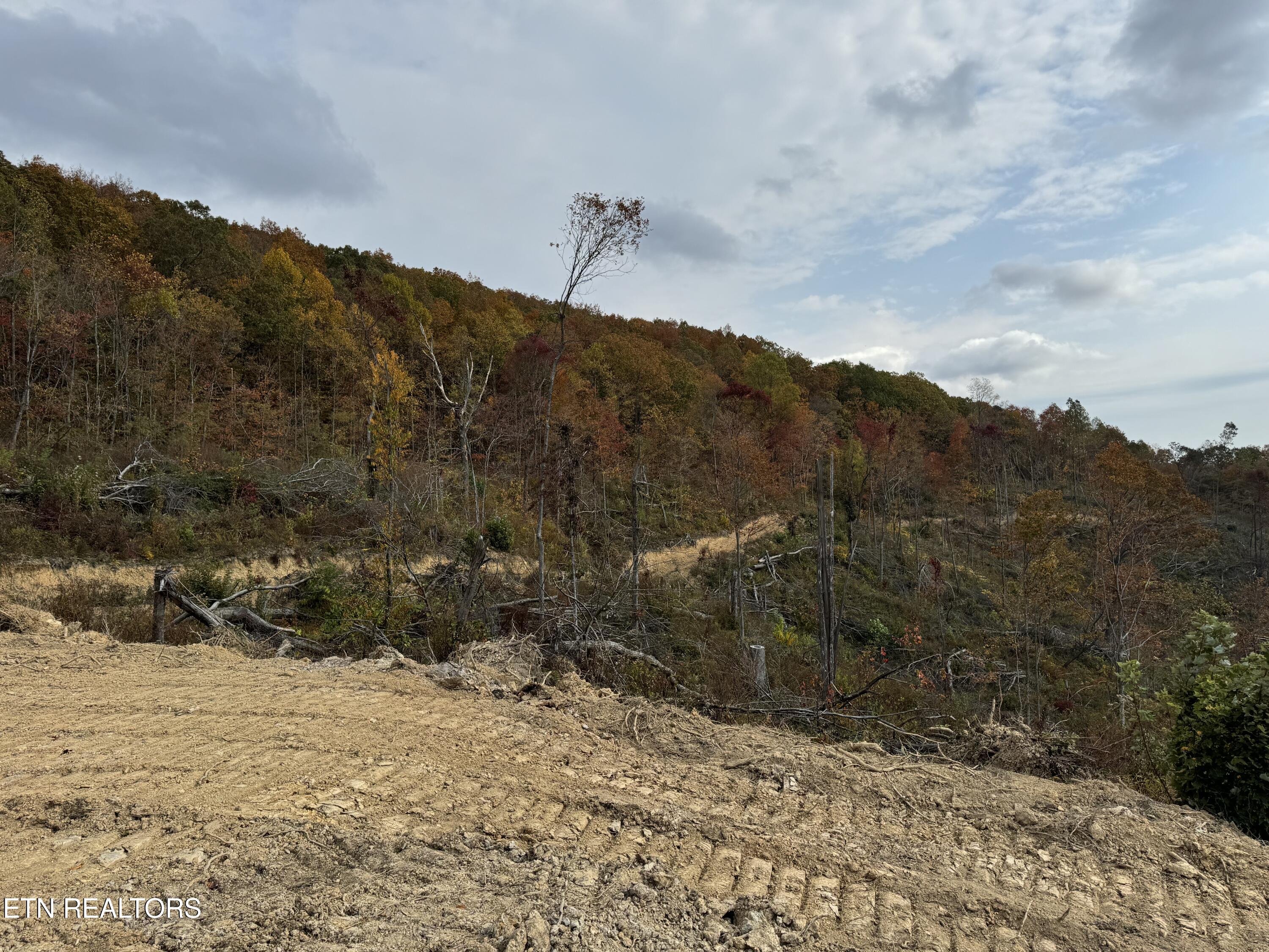 Lot #11 Stanley Creek Road Oneida, TN 37841 - Photo 5 of 8 STANLEY CREEK 4 DEB