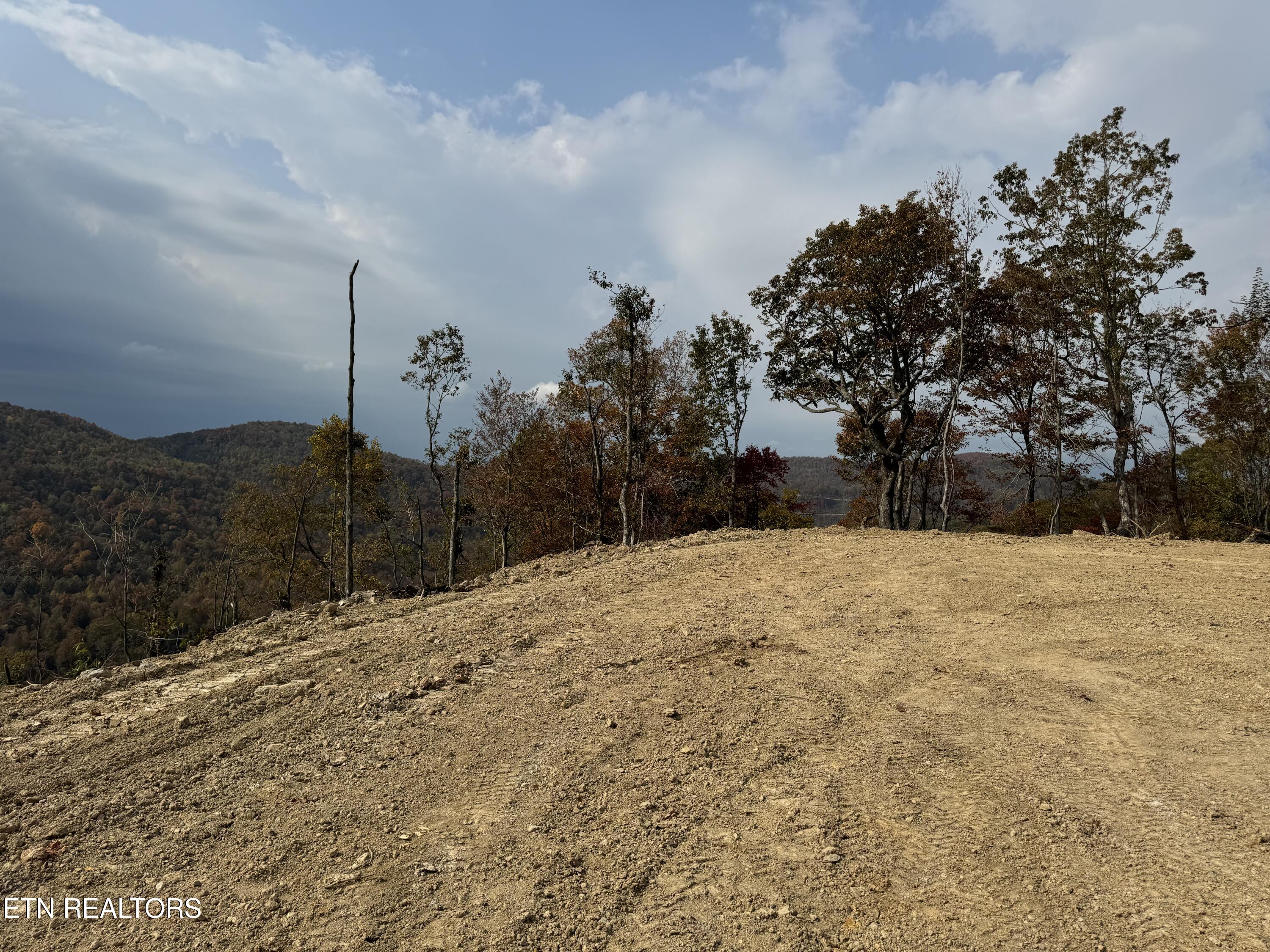 Lot #11 Stanley Creek Road Oneida, TN 37841 - Photo 6 of 8 STANLEY CREEK 3 DEB