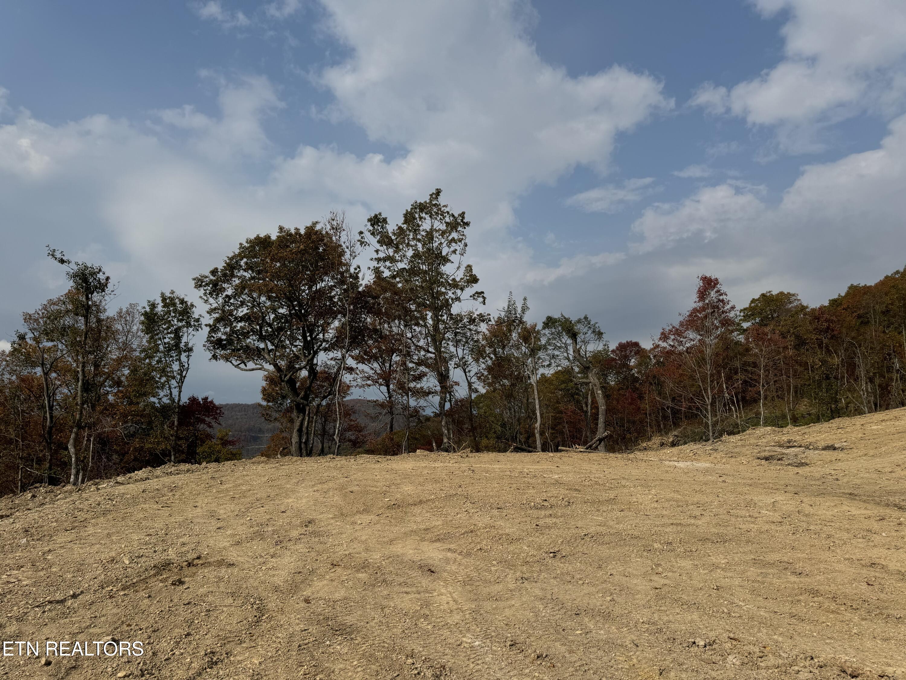 Lot #11 Stanley Creek Road Oneida, TN 37841 - Photo 8 of 8 STANLEY CREEK 1