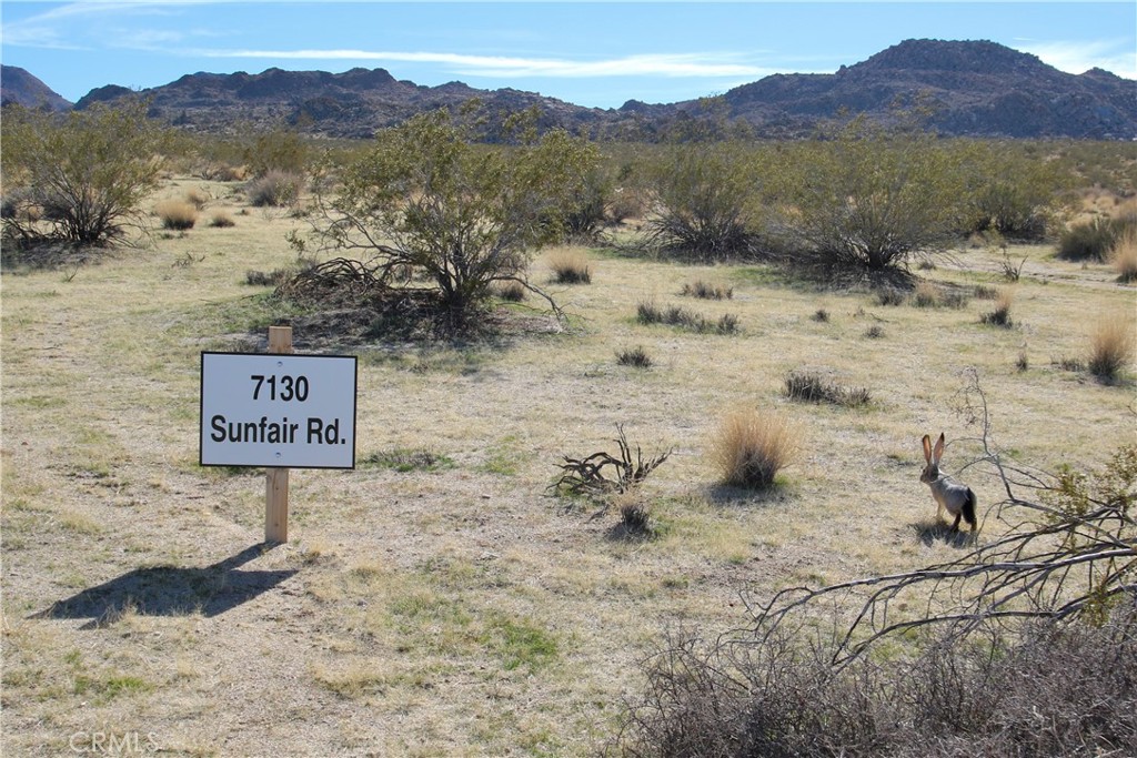 7130 Sunfair Road Joshua Tree, CA 92252 - Photo 2 of 11