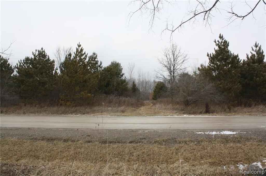 466 West Castle Road Fostoria, MI 48435 - Photo 4 of 21
