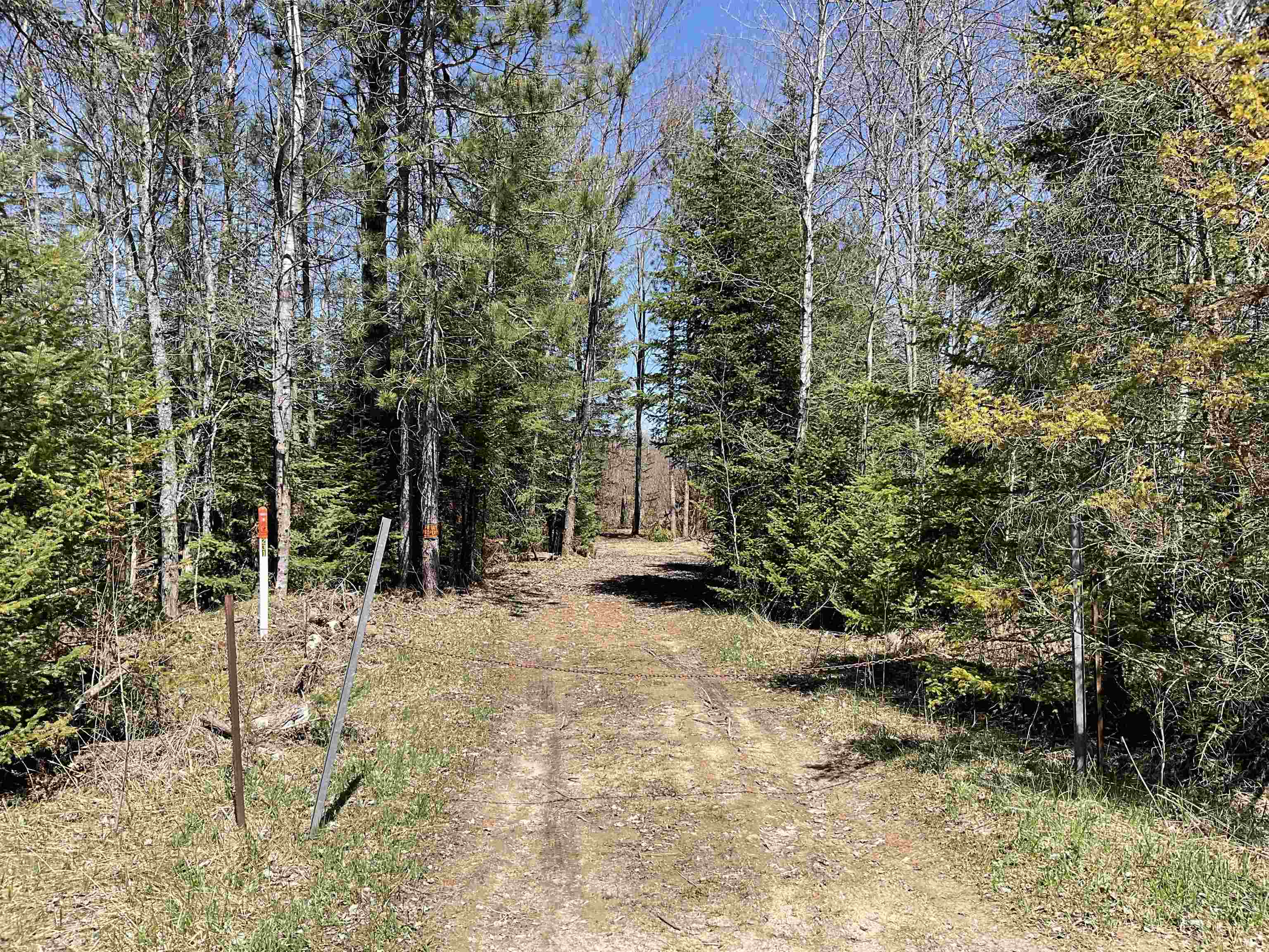 3435 Cool Road Southeast Kalkaska, MI 49646 - Photo 15 of 18