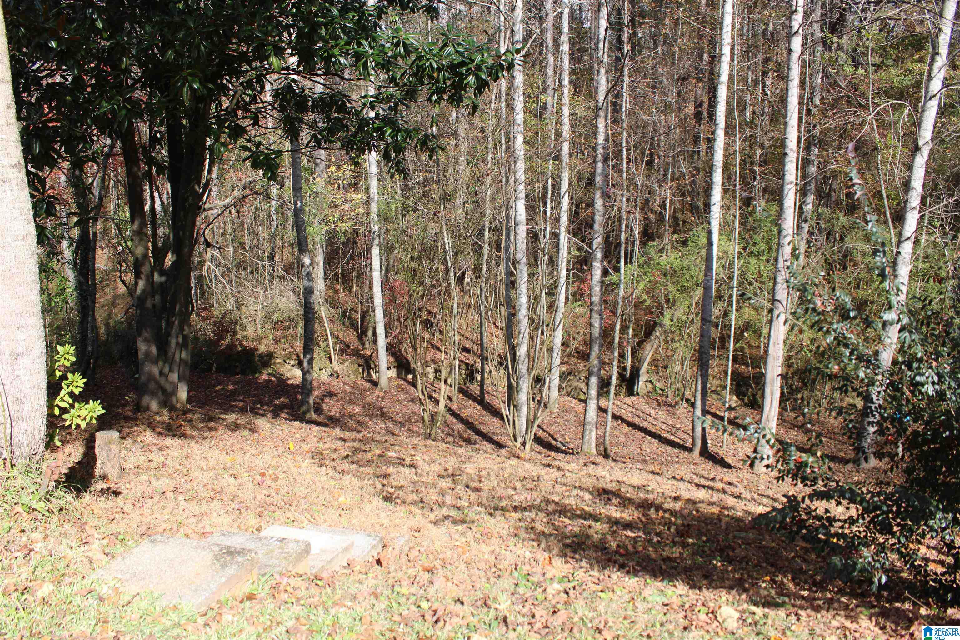 86 Jones Road Heflin, AL 36264 - Photo 33 of 39