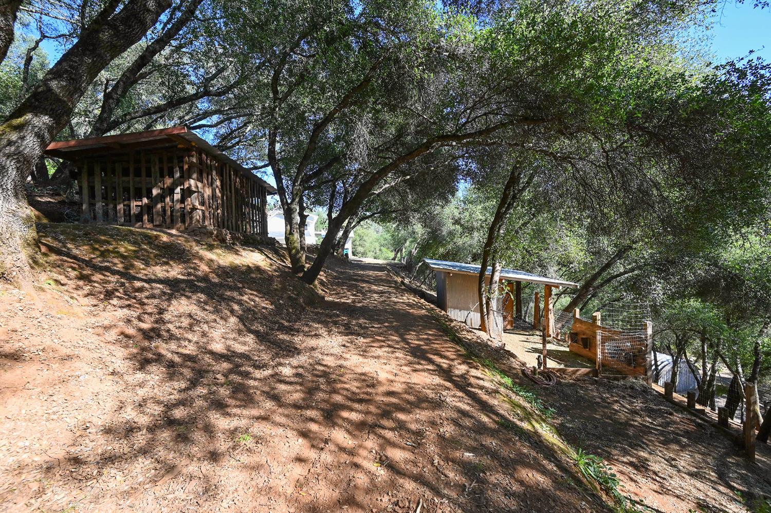 5288 Rattlesnake Bar Road Pilot Hill, CA 95664 - Photo 36 of 45 Goat Shed