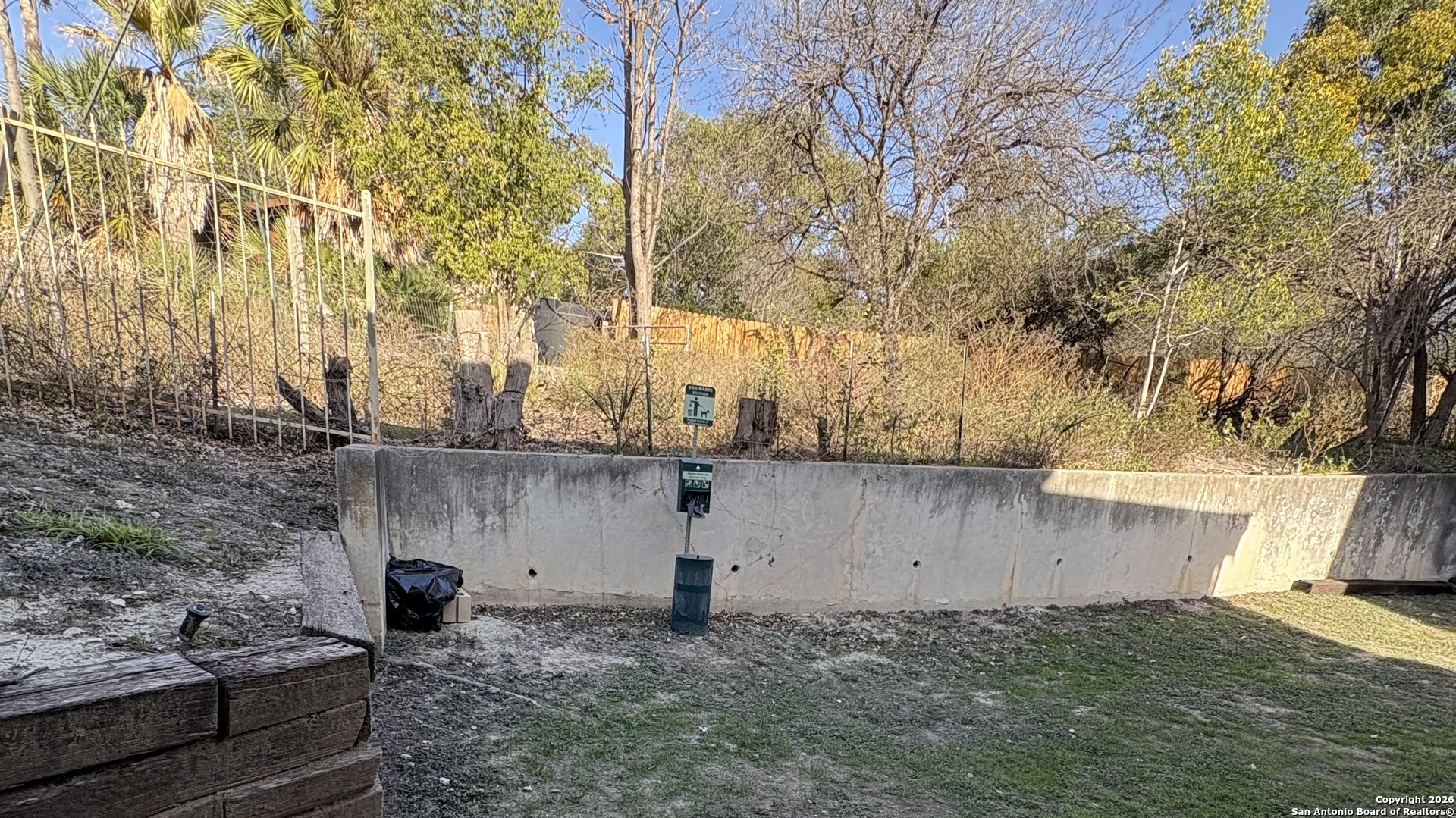 7738 Chambers Road, Unit 1101 San Antonio, TX 78229 - Photo 15 of 35 a view of backyard and tree