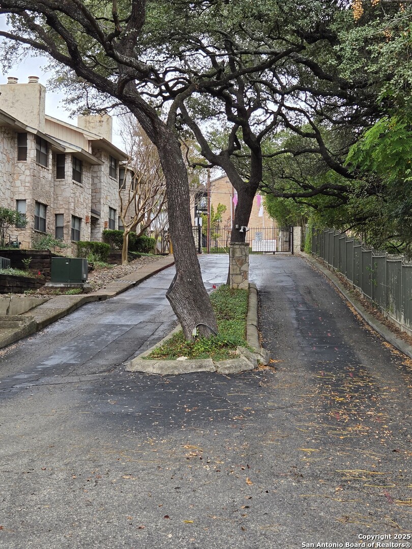 7738 Chambers Road, Unit 1101 San Antonio, TX 78229 - Photo 7 of 35 a tree in the middle of a yard