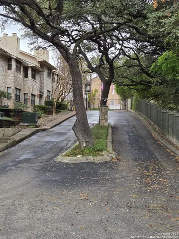 a tree in the middle of a yard