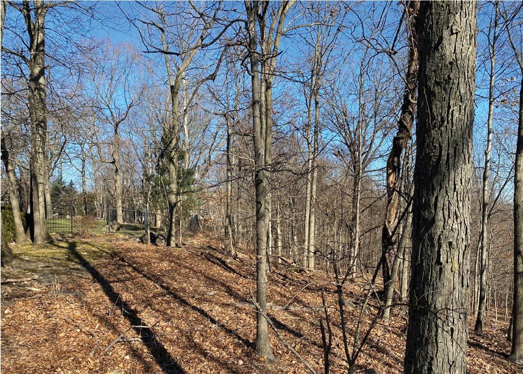 0 Cyrus Field Road Irvington, NY 10533 - Photo 4 of 10 a backyard of a house with lots of green space