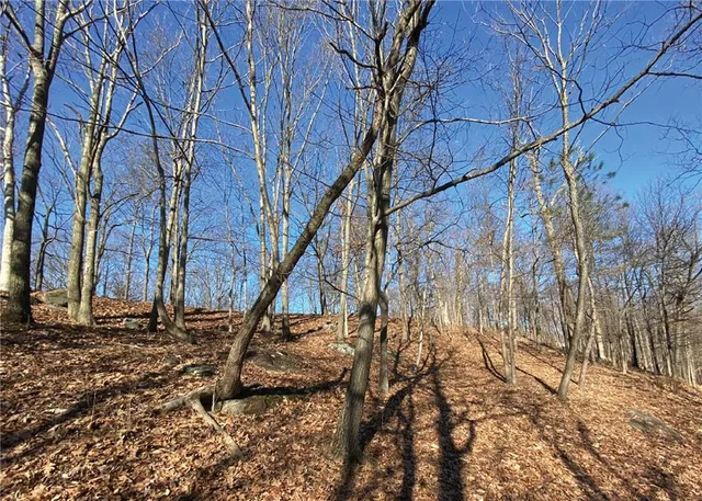 a backyard of a house with a tree