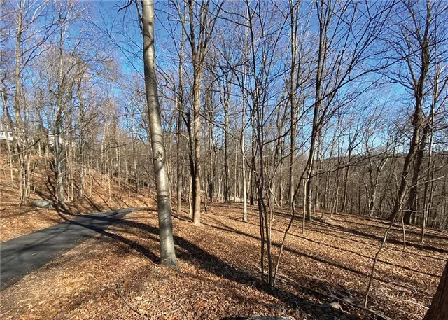 a view of a backyard of the house