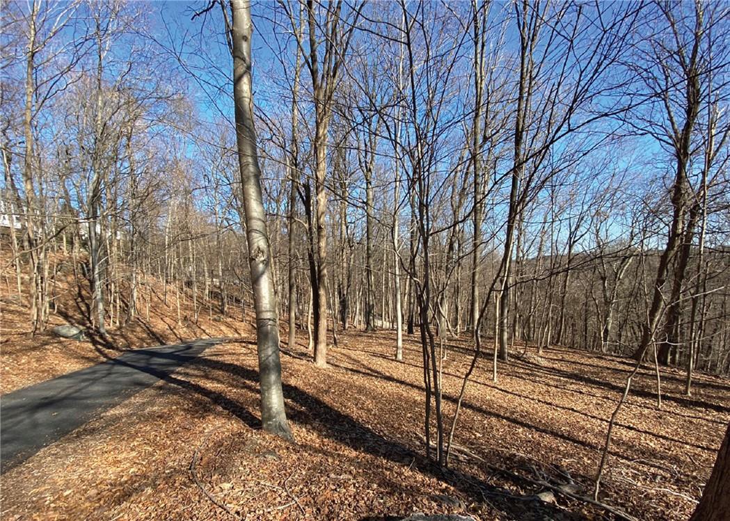 0 Cyrus Field Road Irvington, NY 10533 - Photo 6 of 10 a view of a backyard of the house