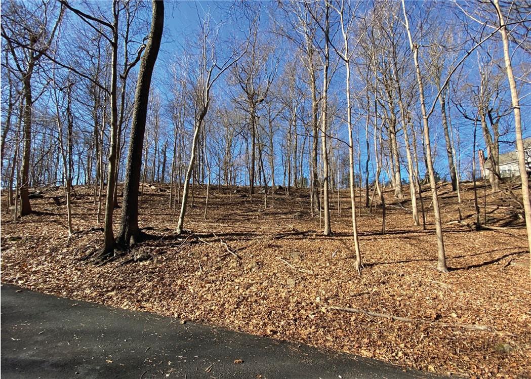 0 Cyrus Field Road Irvington, NY 10533 - Photo 7 of 10 a backyard of a house with lots of green space