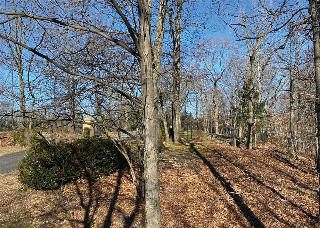 0 Cyrus Field Road Irvington, NY 10533 - Photo 8 of 10 a view of a yard with trees