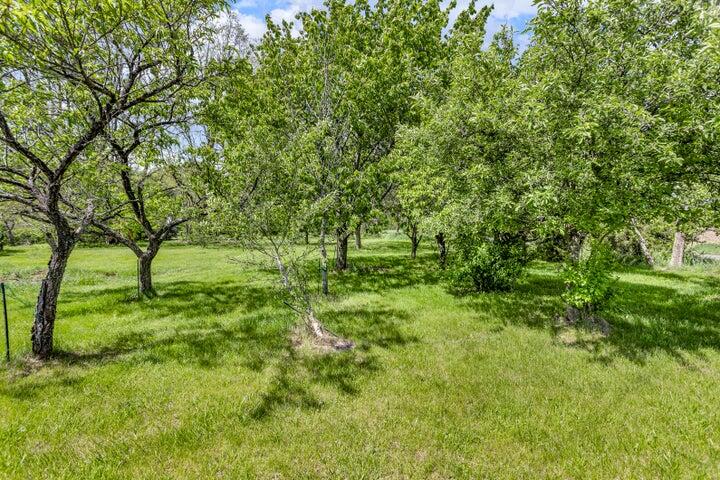 7943 Cement City Road Brooklyn, MI 49230 - Photo 32 of 43 32