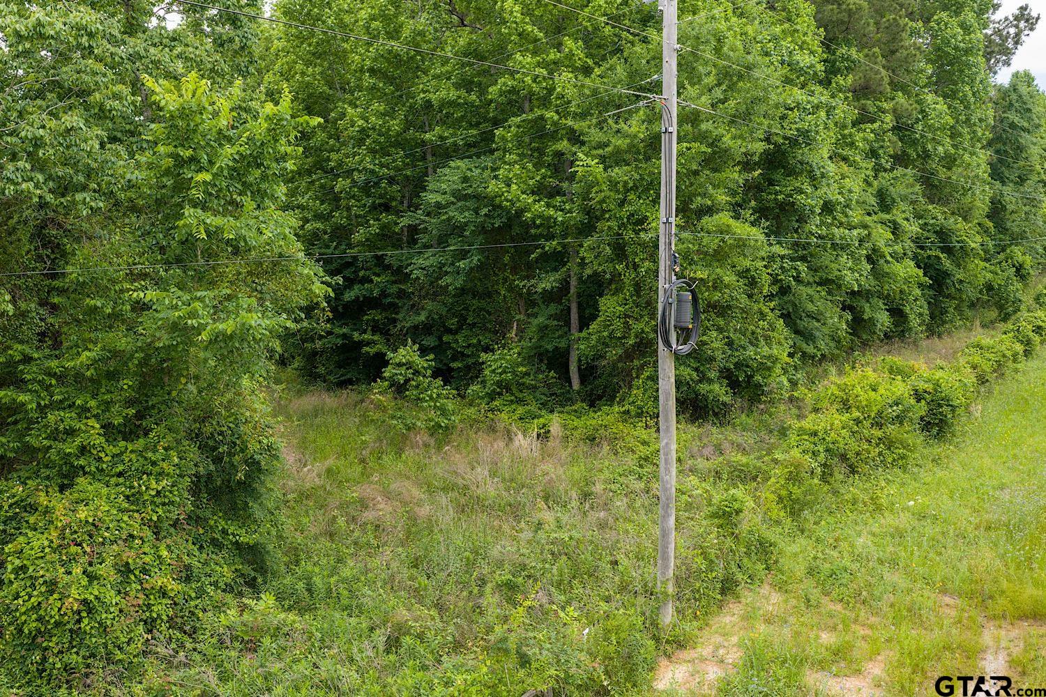 0 Striker Road Reklaw, TX 75784 - Photo 7 of 11 a view of a lush green forest