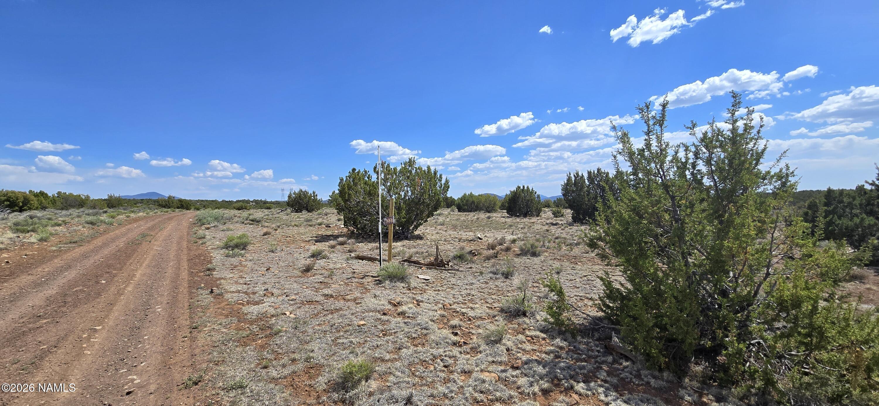 227 Mountain Cat Road Williams, AZ 86046 - Photo 12 of 13 a view of a backyard of a house