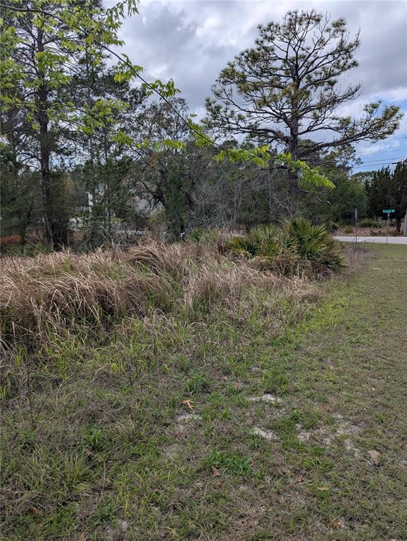 0 Mazette Road Weeki Wachee, FL 34613 - Photo 6 of 7 a view of a field