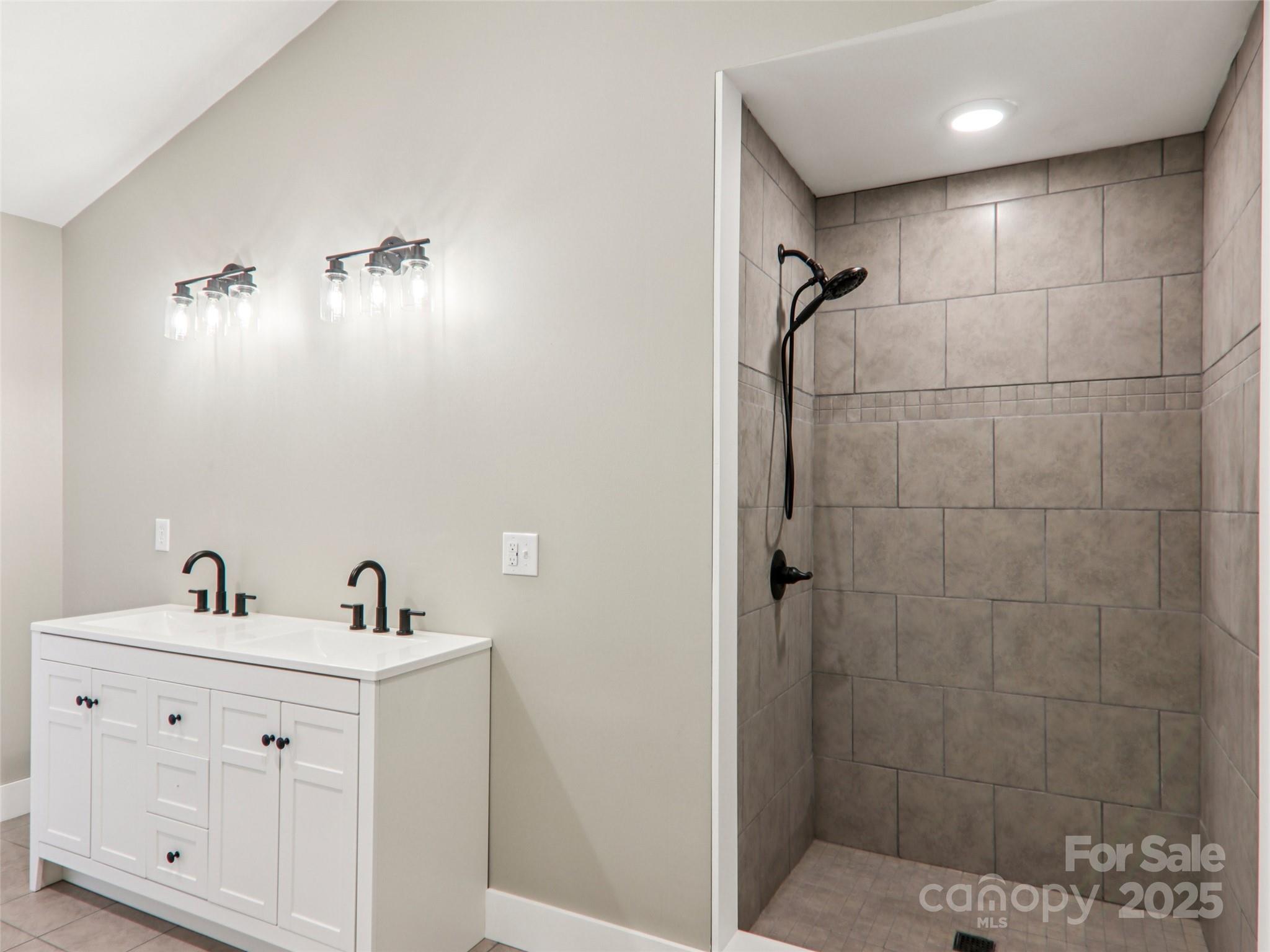 366 Ben Nevis Road Brevard, NC 28712 - Photo 26 of 48 a bathroom with a sink a toilet and shower