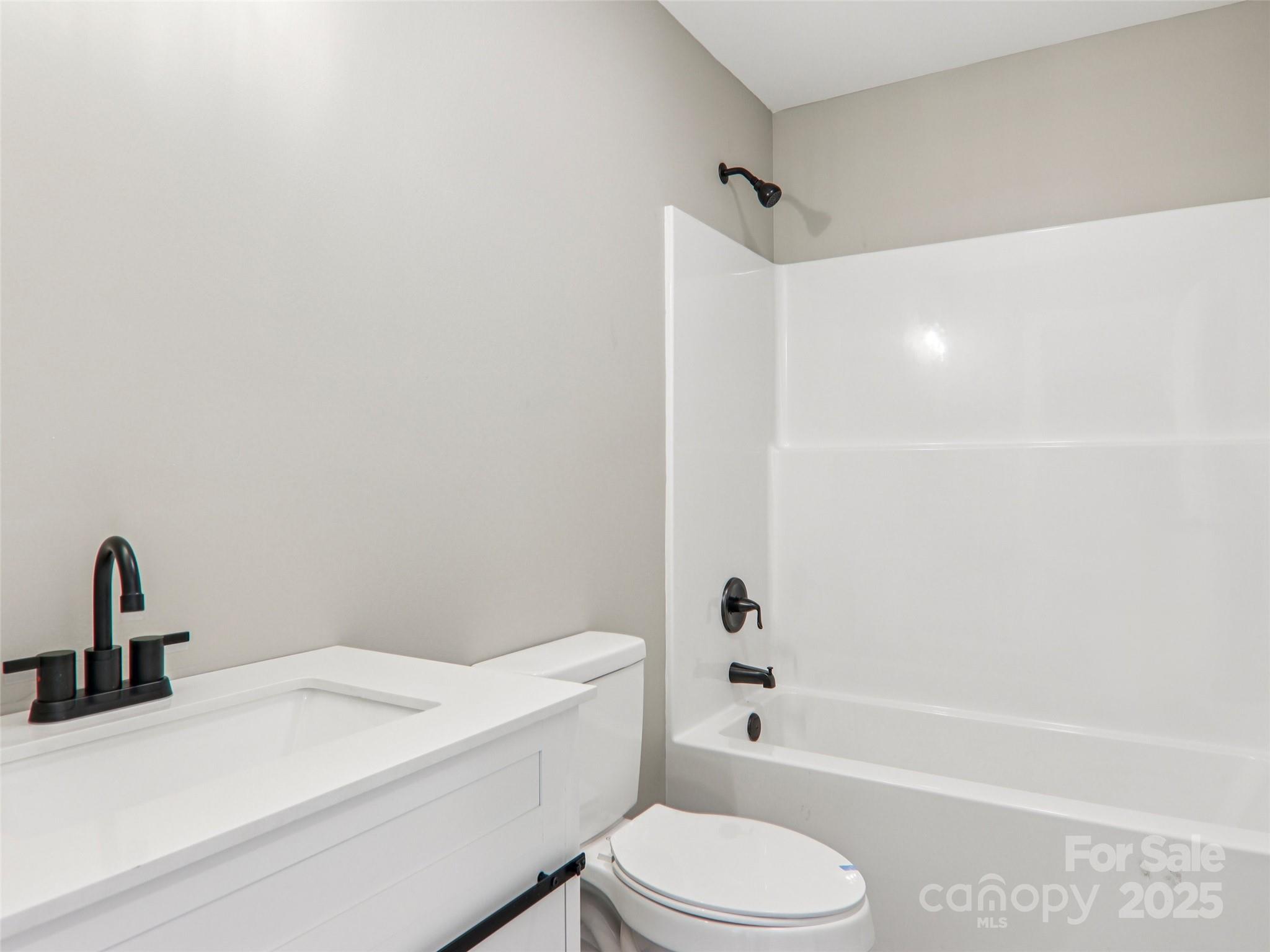 366 Ben Nevis Road Brevard, NC 28712 - Photo 30 of 48 a bathroom with a toilet a sink and a bathtub