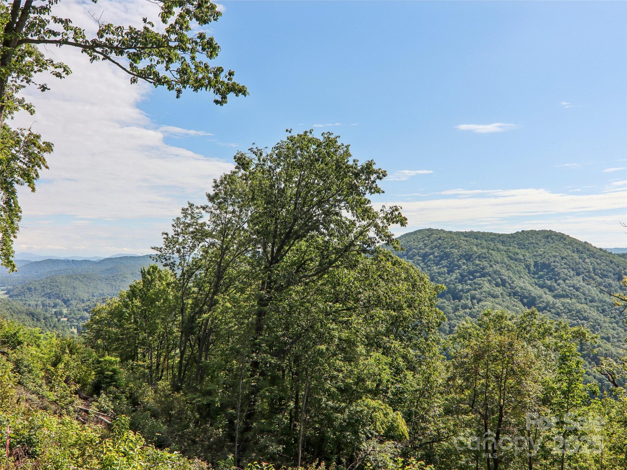 366 Ben Nevis Road Brevard, NC 28712 - Photo 39 of 48 a view of a field