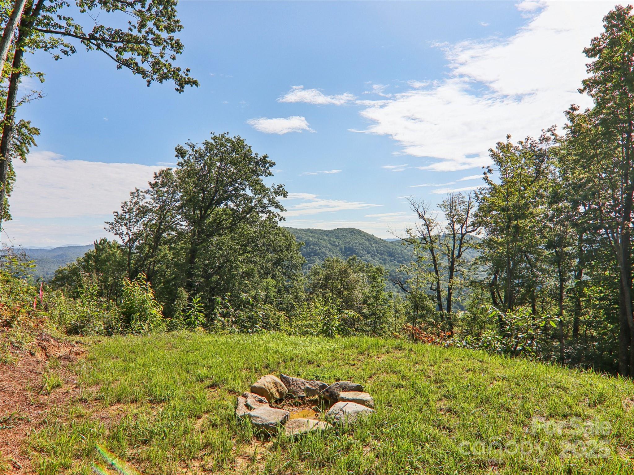 366 Ben Nevis Road Brevard, NC 28712 - Photo 40 of 48 a view of a yard with a tree