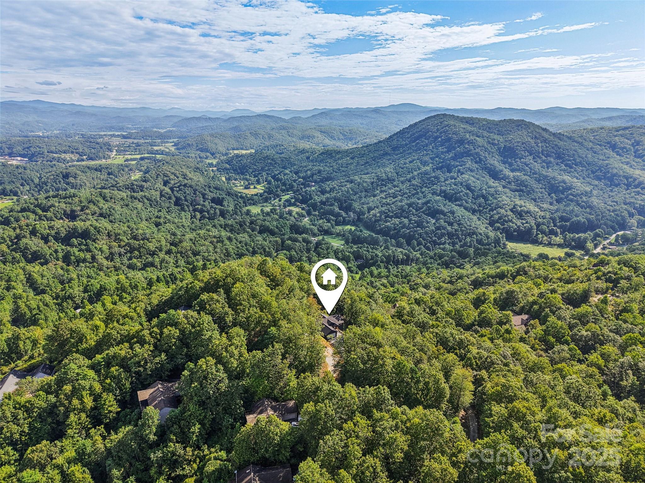 366 Ben Nevis Road Brevard, NC 28712 - Photo 44 of 48 a view of a city with lush green forest