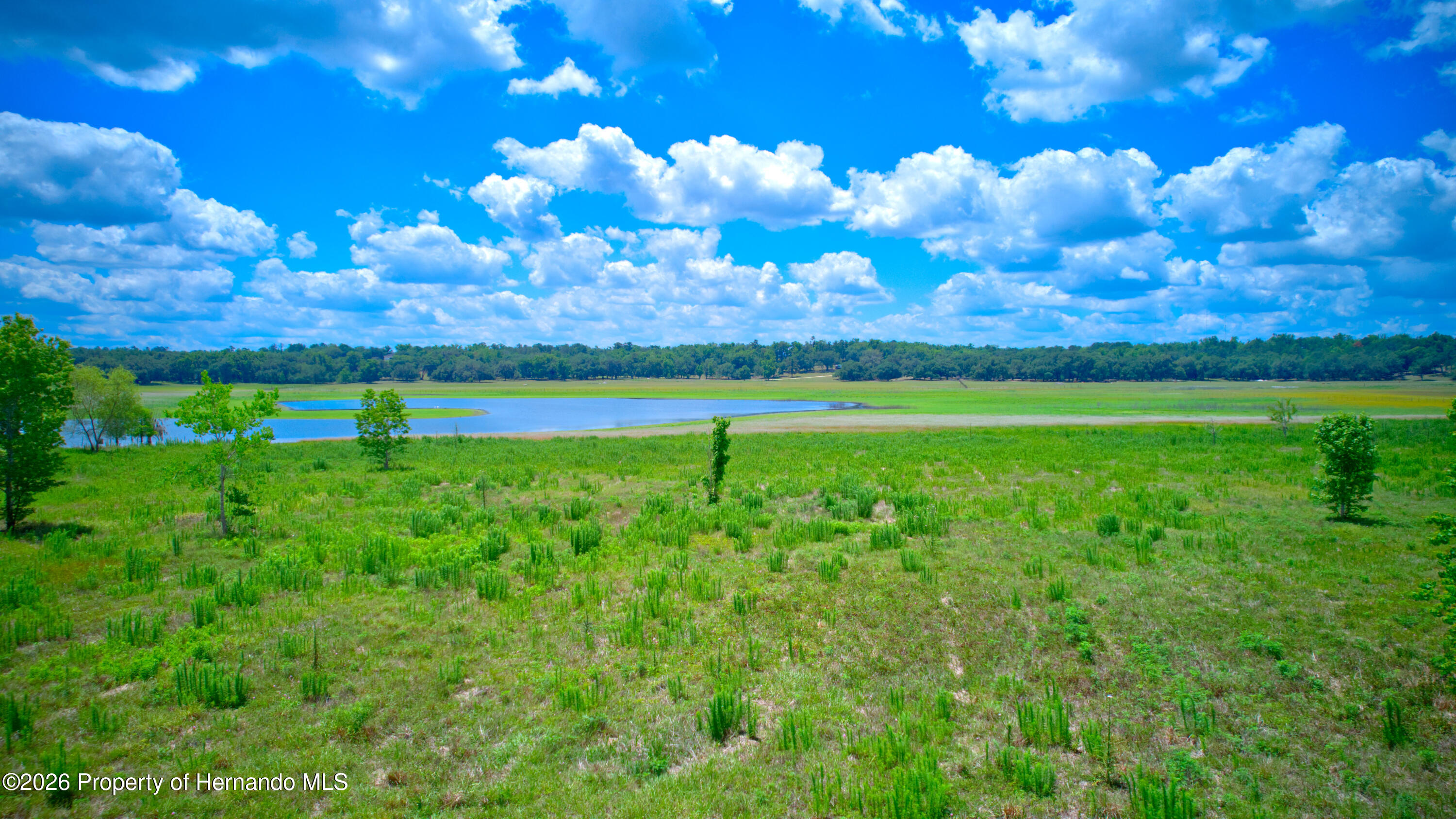 3267 Neff Lk Road Brooksville, FL 34602 - Photo 58 of 82