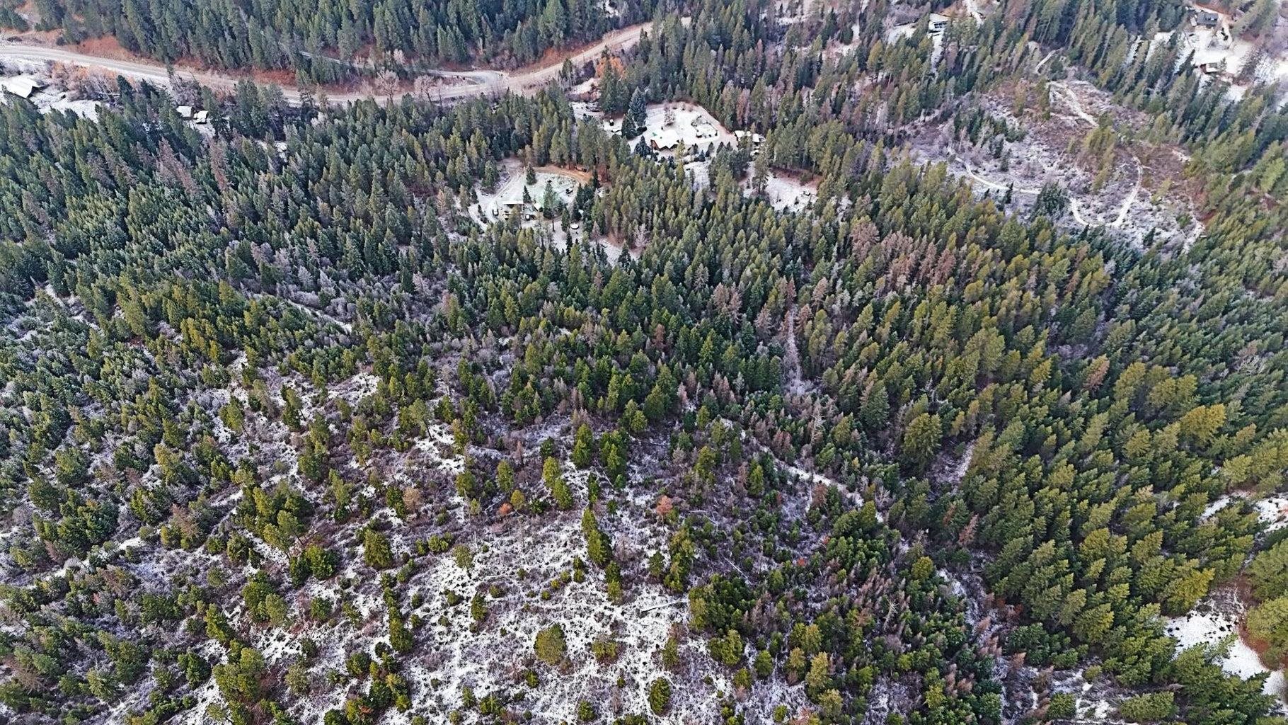 26-xx A Burnt Valley Road Chewelah, WA 99109 - Photo 2 of 11