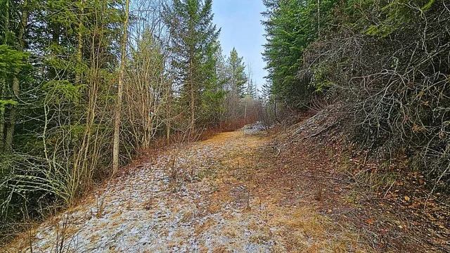 $105,000 | 26-xx A Burnt Valley Road, Chewelah, WA 99109