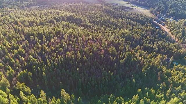 $105,000 | 26-xx A Burnt Valley Road, Chewelah, WA 99109