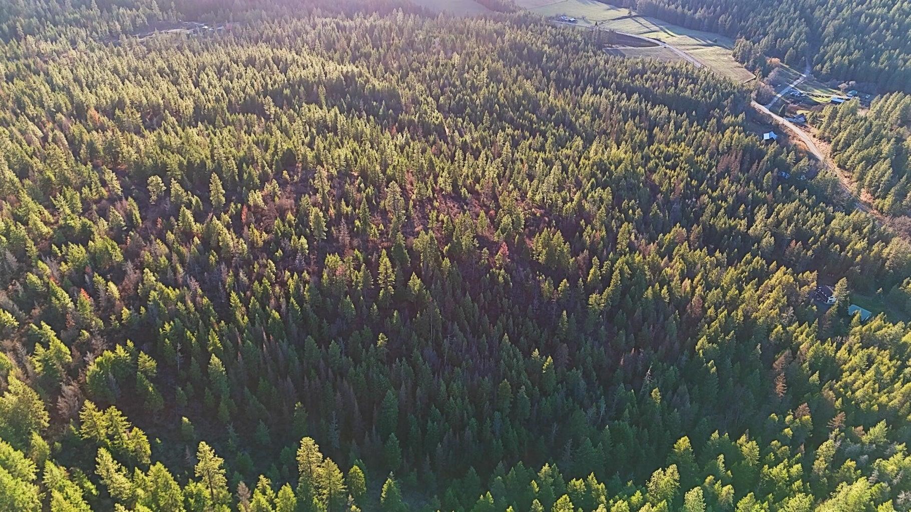 26-xx A Burnt Valley Road Chewelah, WA 99109 - Photo 5 of 11