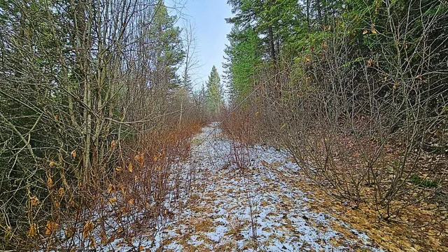 $105,000 | 26-xx A Burnt Valley Road, Chewelah, WA 99109