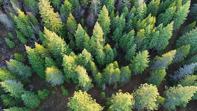 $105,000 | 26-xx A Burnt Valley Road, Chewelah, WA 99109