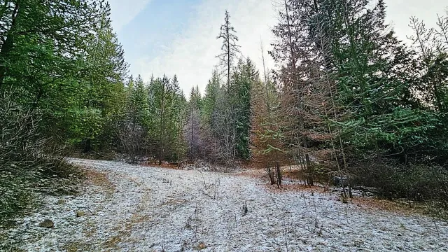 $105,000 | 26-xx A Burnt Valley Road, Chewelah, WA 99109