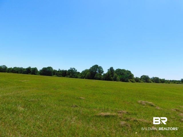 5884 A Saroadine Road Brewton, AL 36426 - Photo 7 of 16