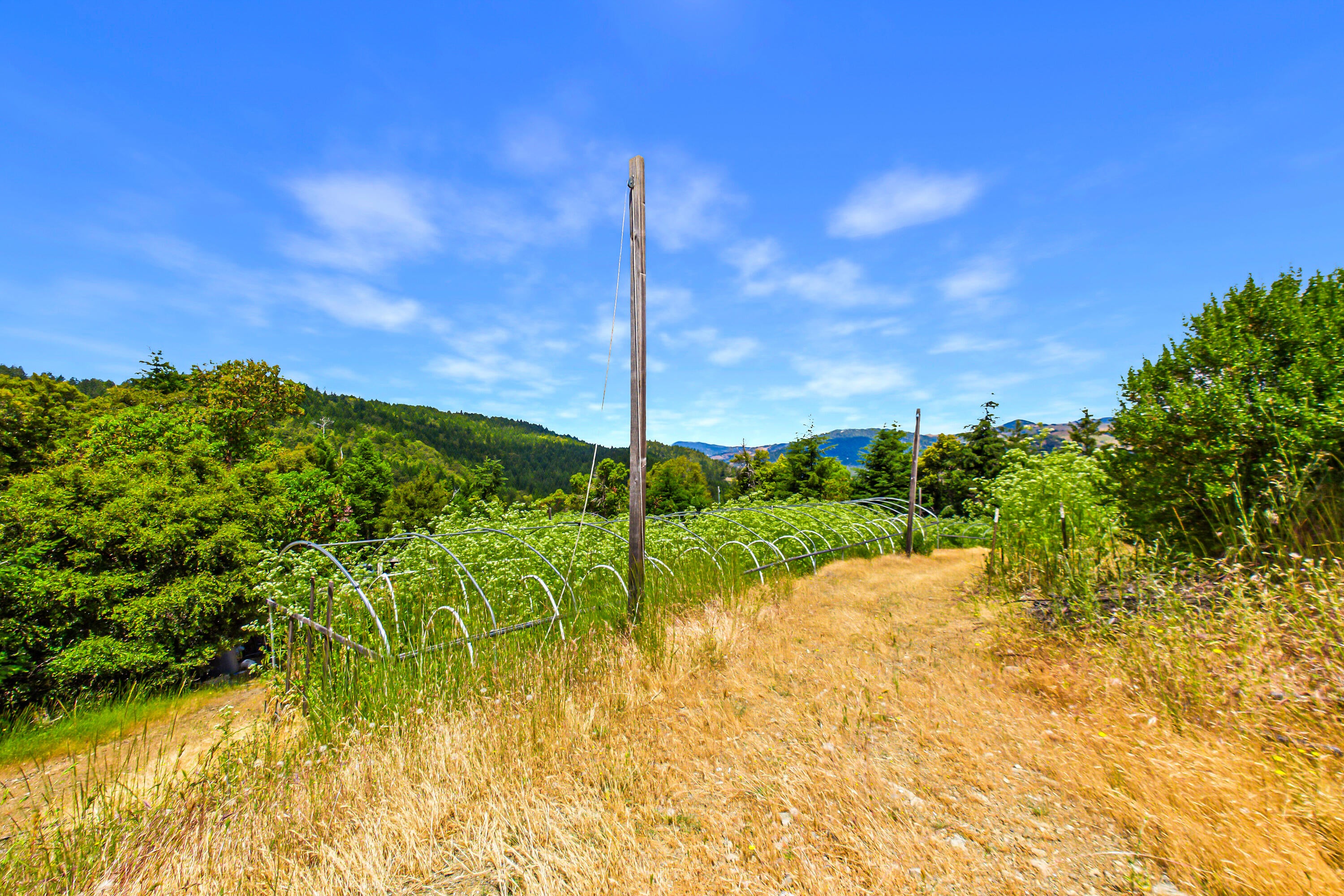 3761 Blue Rock Road Garberville, CA 95542 - Photo 81 of 85 Gallery Image 81