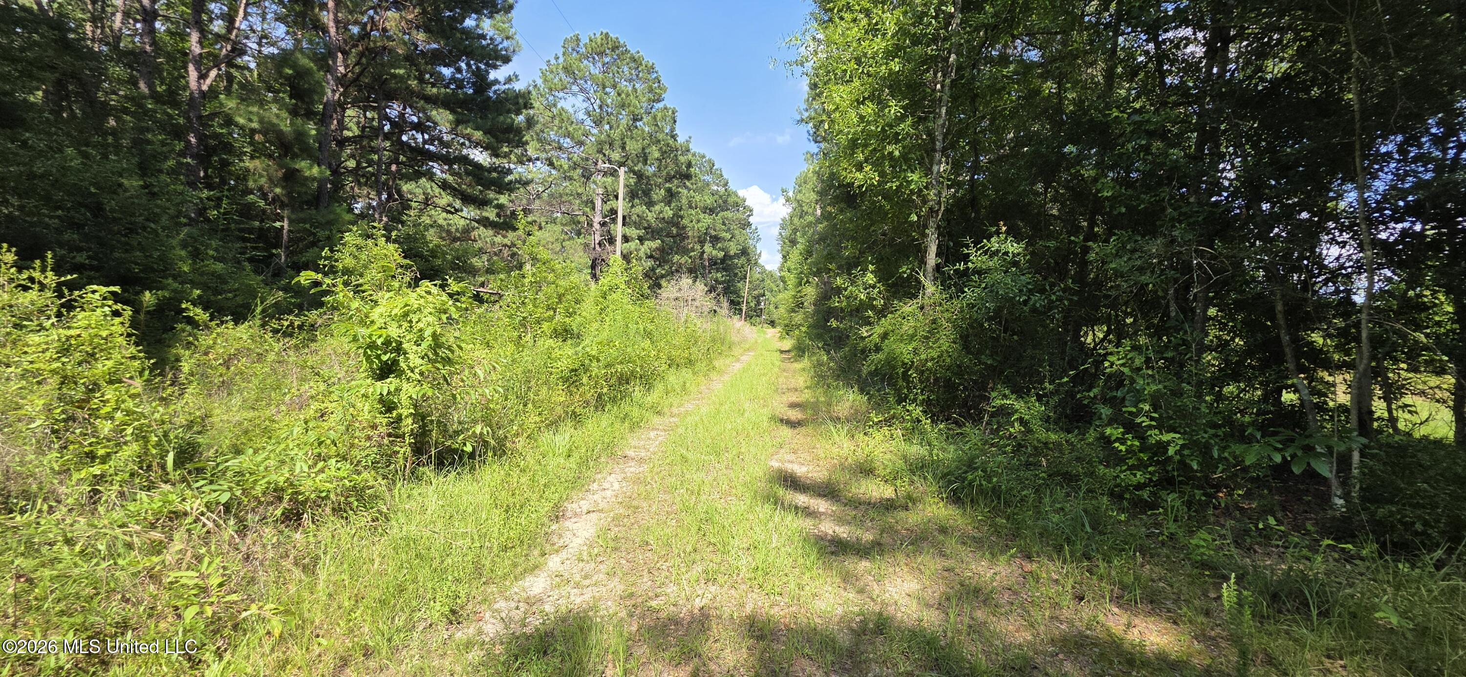 2046 Barto Leggett Road McComb, MS 39648 - Photo 9 of 29 20260623_160436