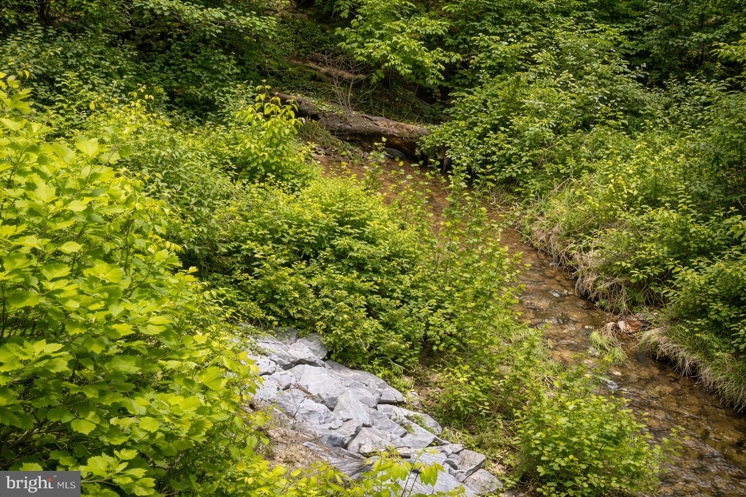 Potomac Street Brunswick, MD 21716 - Photo 1 of 1