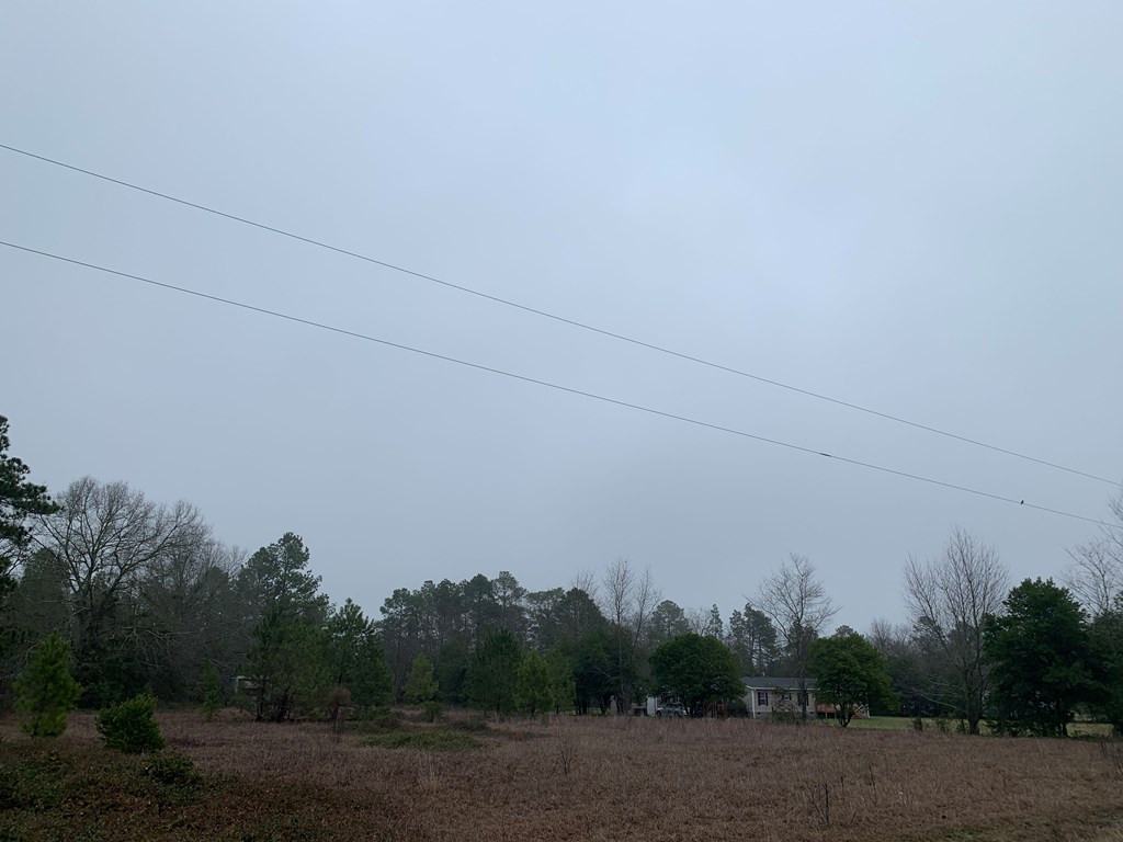 307 Wheat Road Aiken, SC 29801 - Photo 2 of 3
