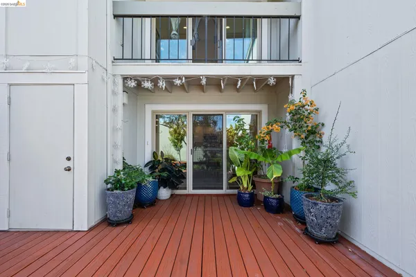 a view of front door of house with potted plant
